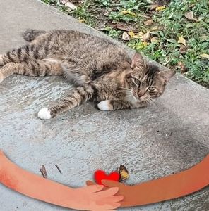 Meet your Posher, Angela